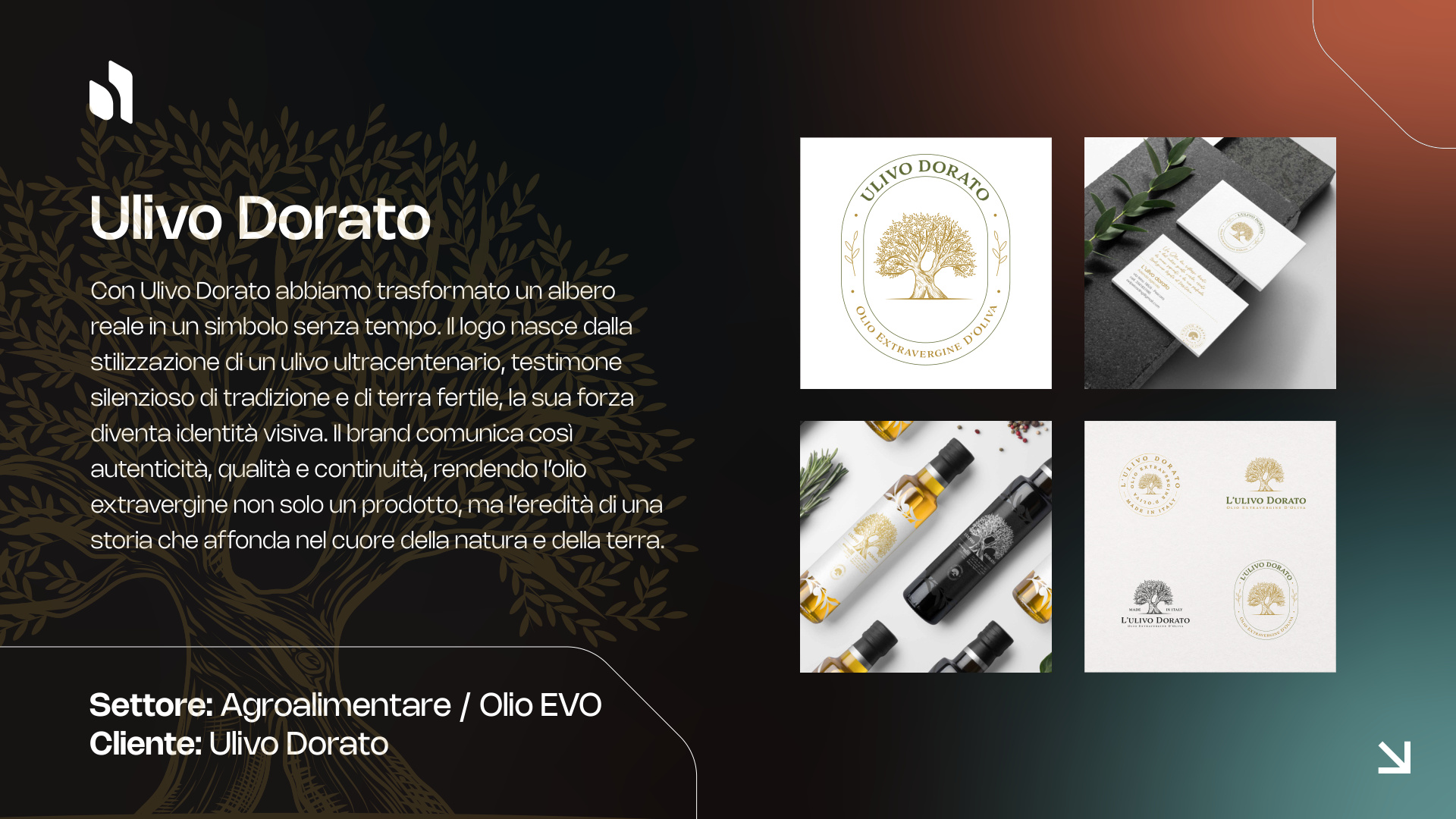 Ulivo Dorato — Brand Identity e Packaging per olio EVO agroalimentare