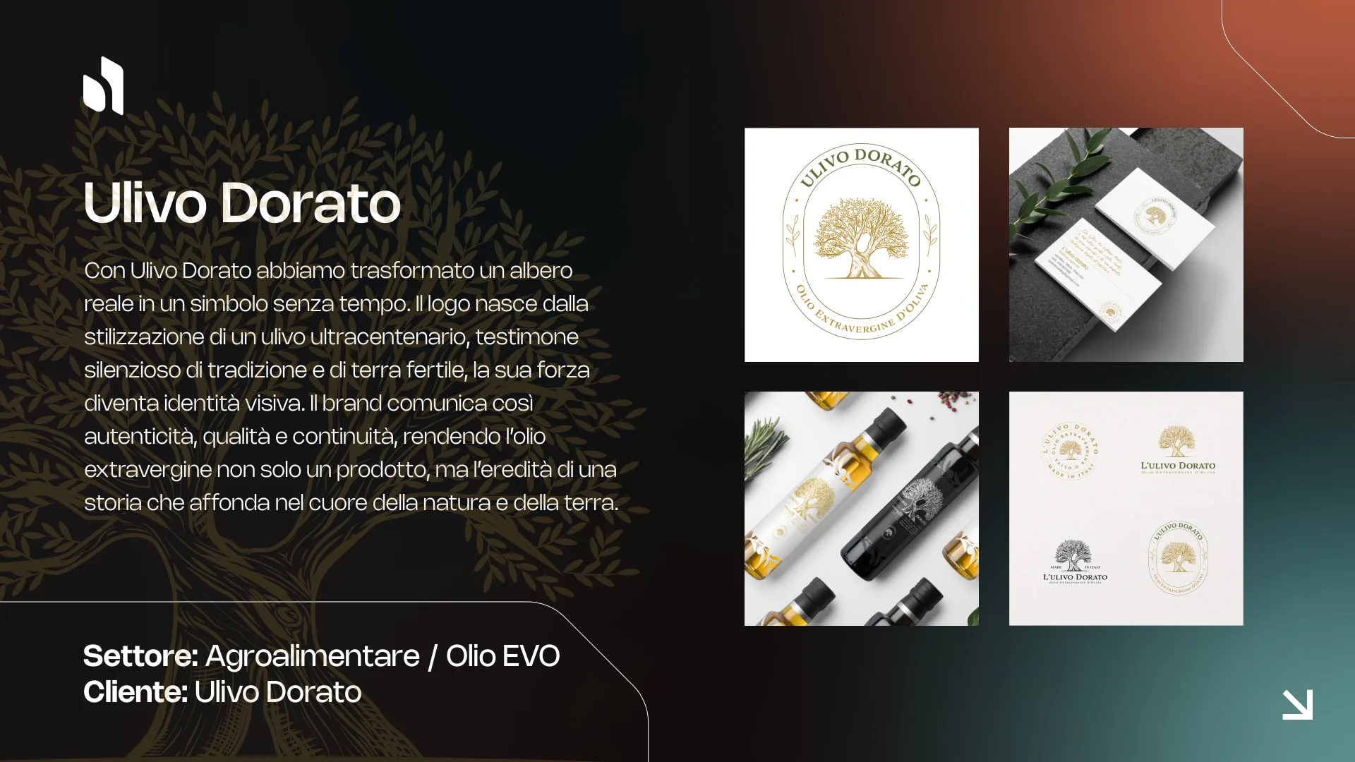 Ulivo Dorato — Brand Identity e Packaging per olio EVO agroalimentare